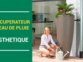 récupérateur eau de pluie esthétique